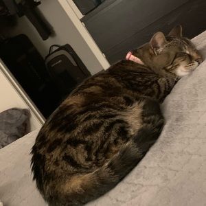 Meet your Posher, Starlyn